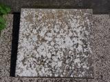 image of grave number 961295